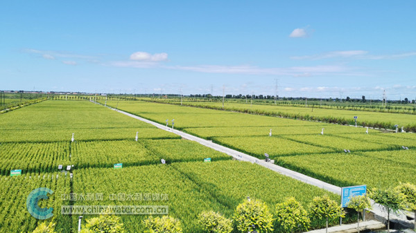 打通水利脈絡 筑牢豐收根基